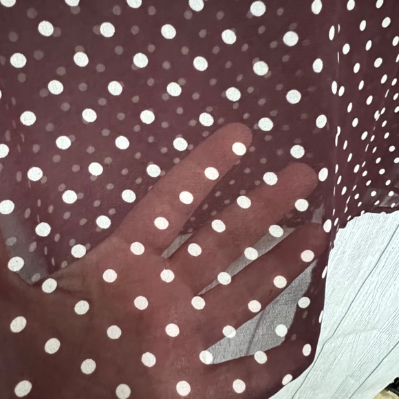 Ann Taylor Sheer Polka Dot Top in Dark Maroon Size XS - Picture 11 of 12